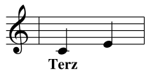 Terz